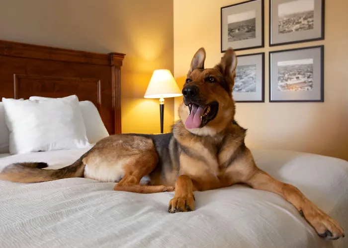 Hotel Western King's Inn&suites 4*